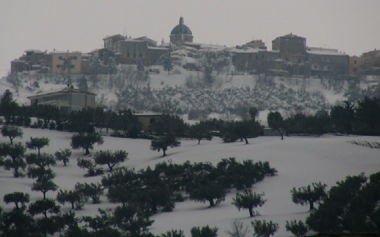 Clicca per ingrandire