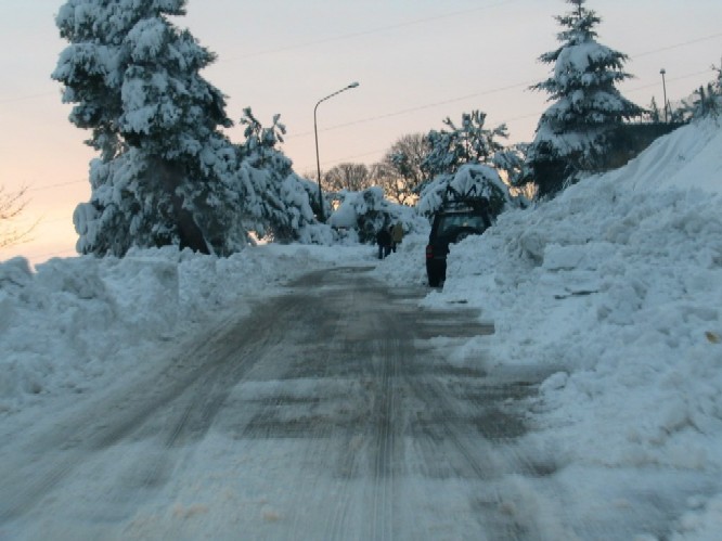 Clicca per ingrandire