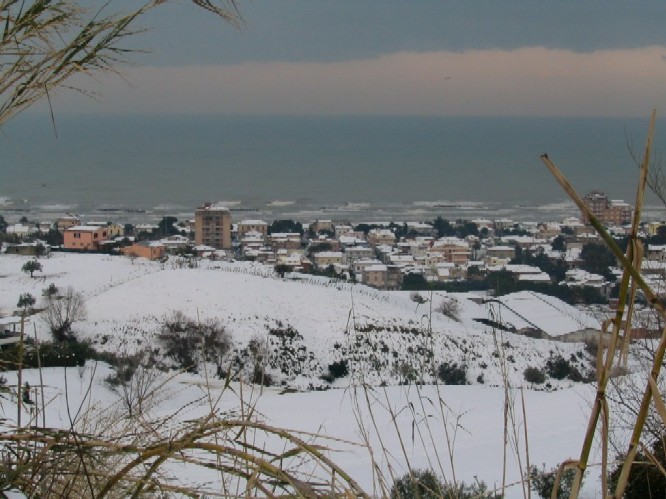 Clicca per ingrandire