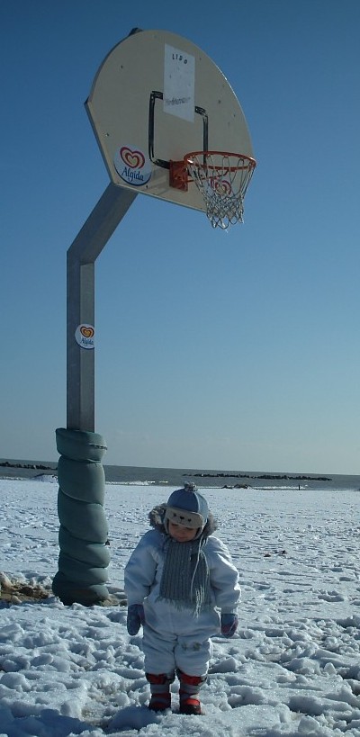 Clicca per ingrandire