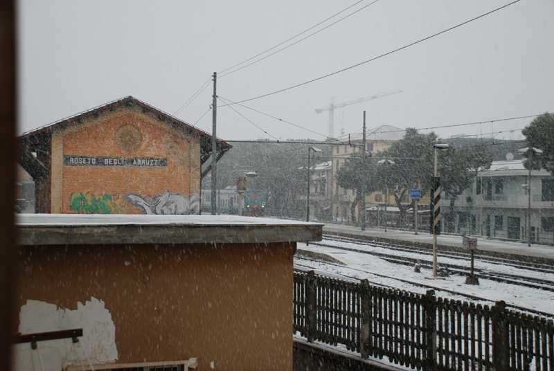 Clicca per ingrandire