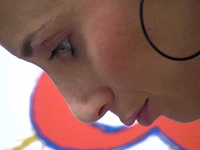 Clicca per ingrandire